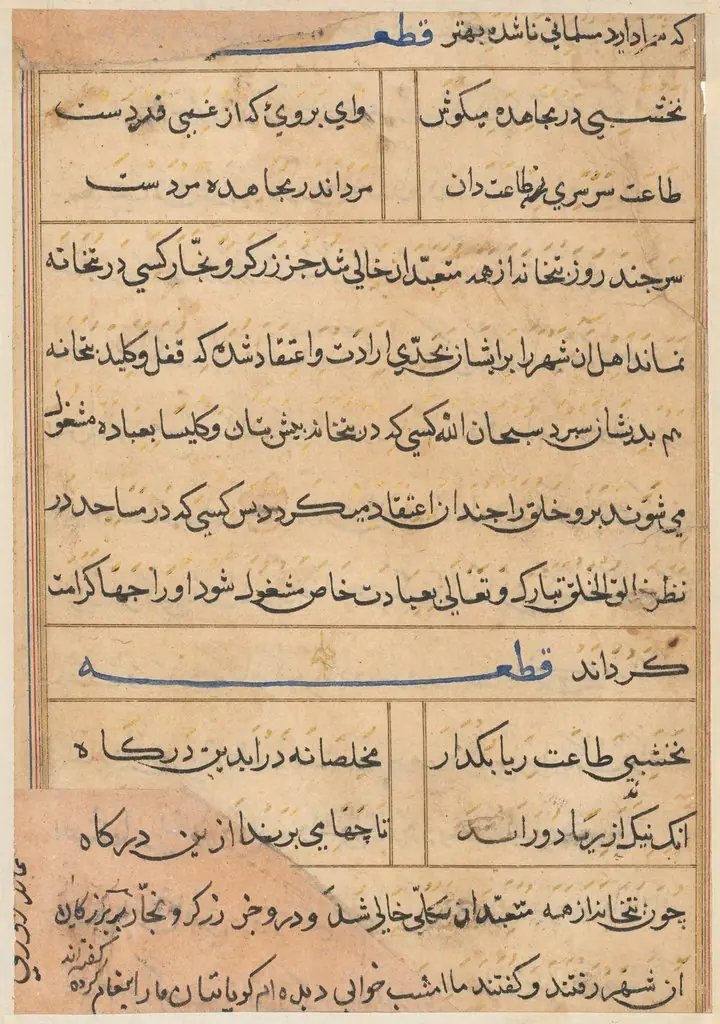 Page from Tales of a Parrot (Tuti-nama): text page