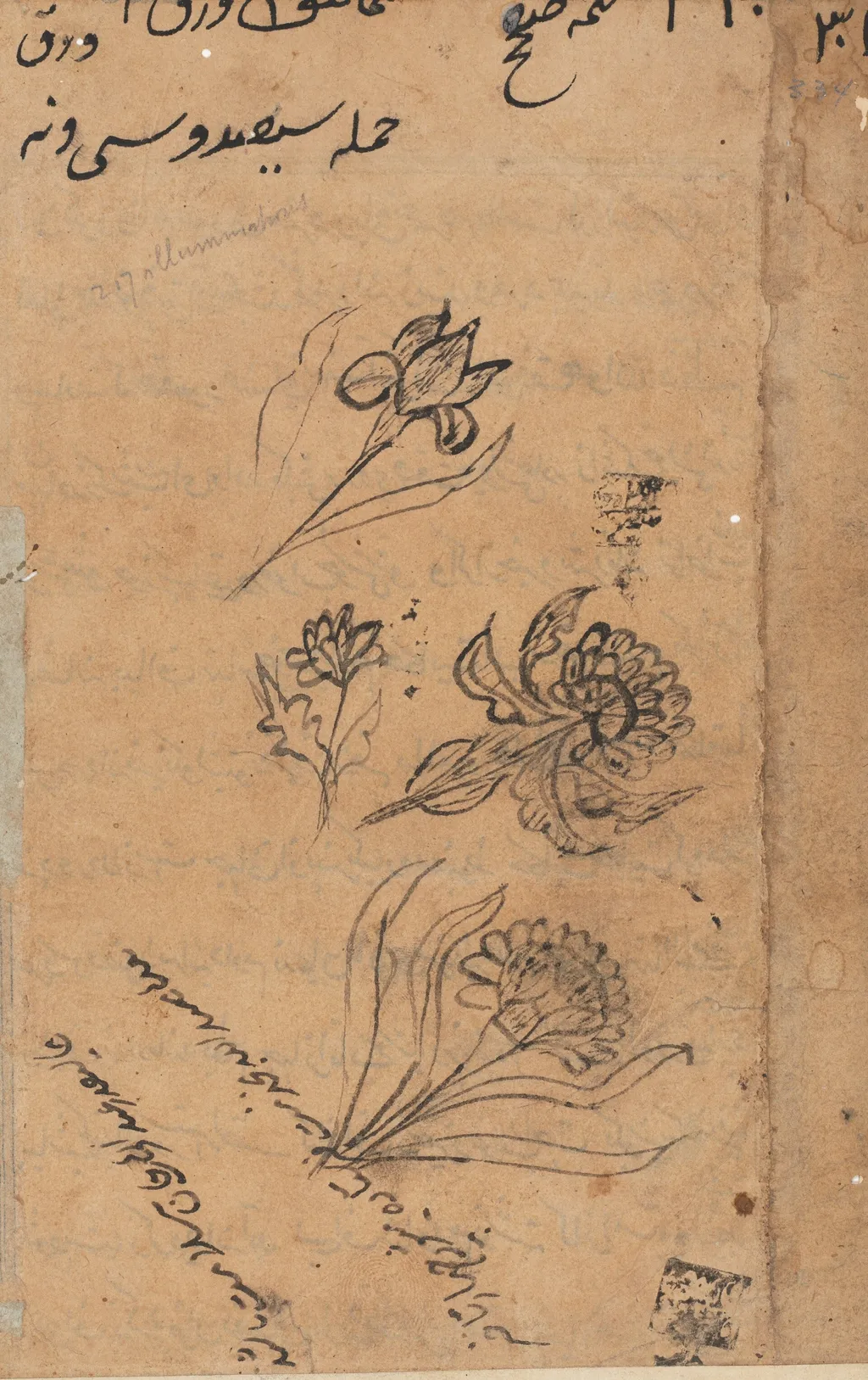 Page from Tales of a Parrot (Tuti-nama): text page, unspecified, 1560