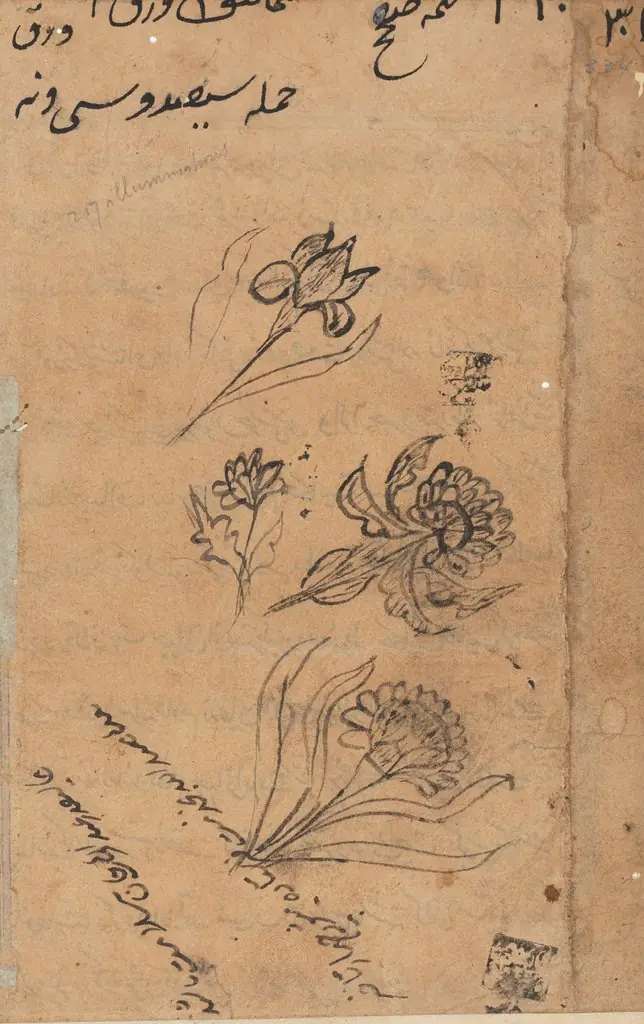 Page from Tales of a Parrot (Tuti-nama): text page, 1560