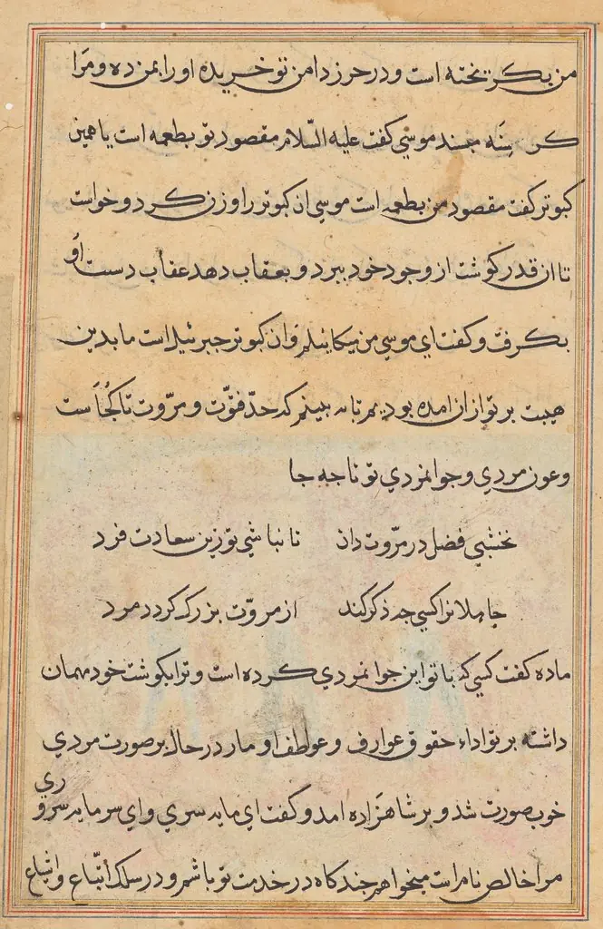 Page from Tales of a Parrot (Tuti-nama): text page