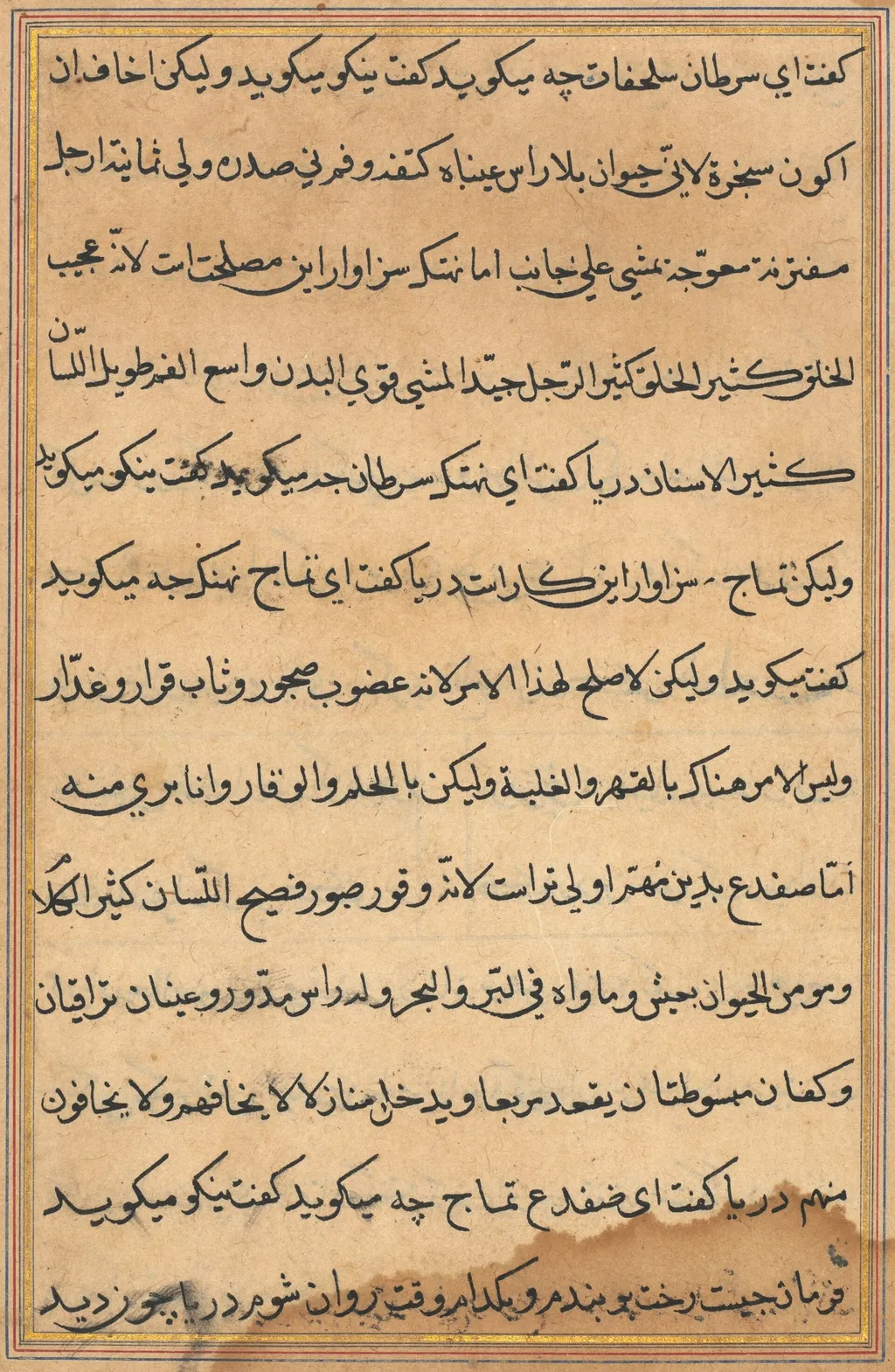 Page from Tales of a Parrot (Tuti-nama): text page, unspecified, 1560