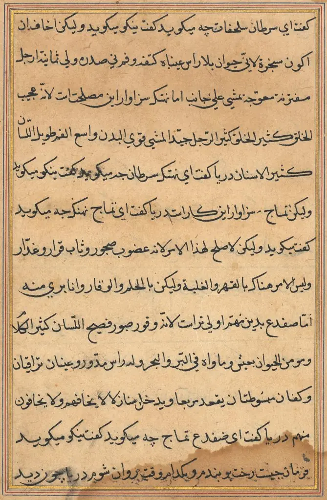 Page from Tales of a Parrot (Tuti-nama): text page