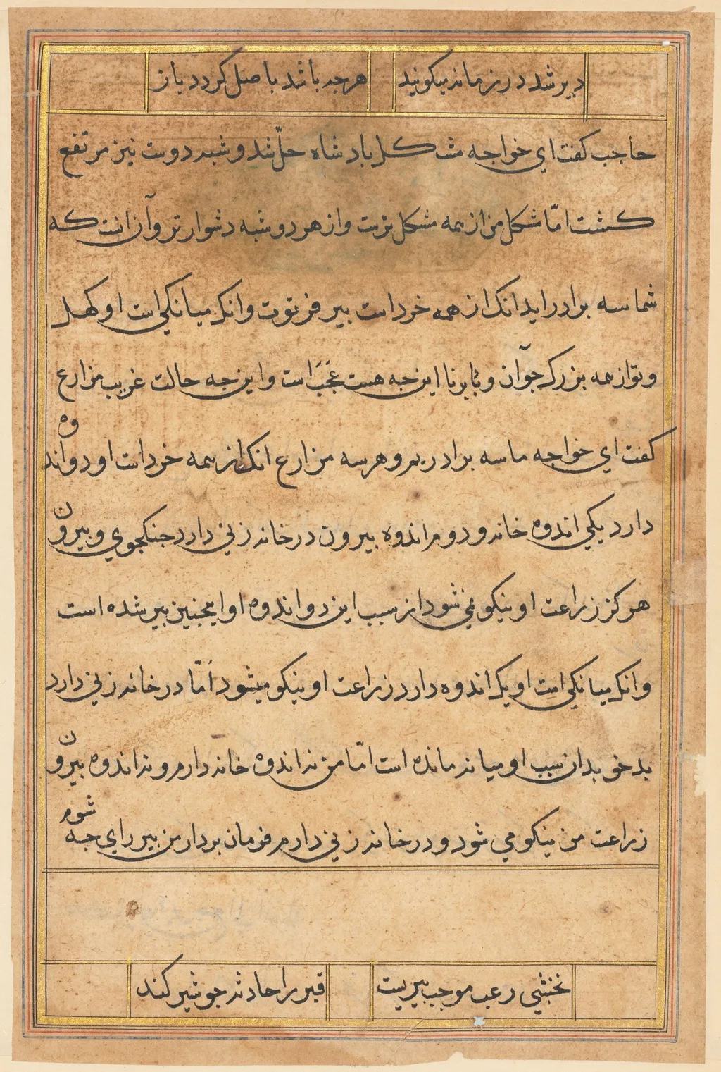 Page from Tales of a Parrot (Tuti-nama): text page, unspecified, 1560