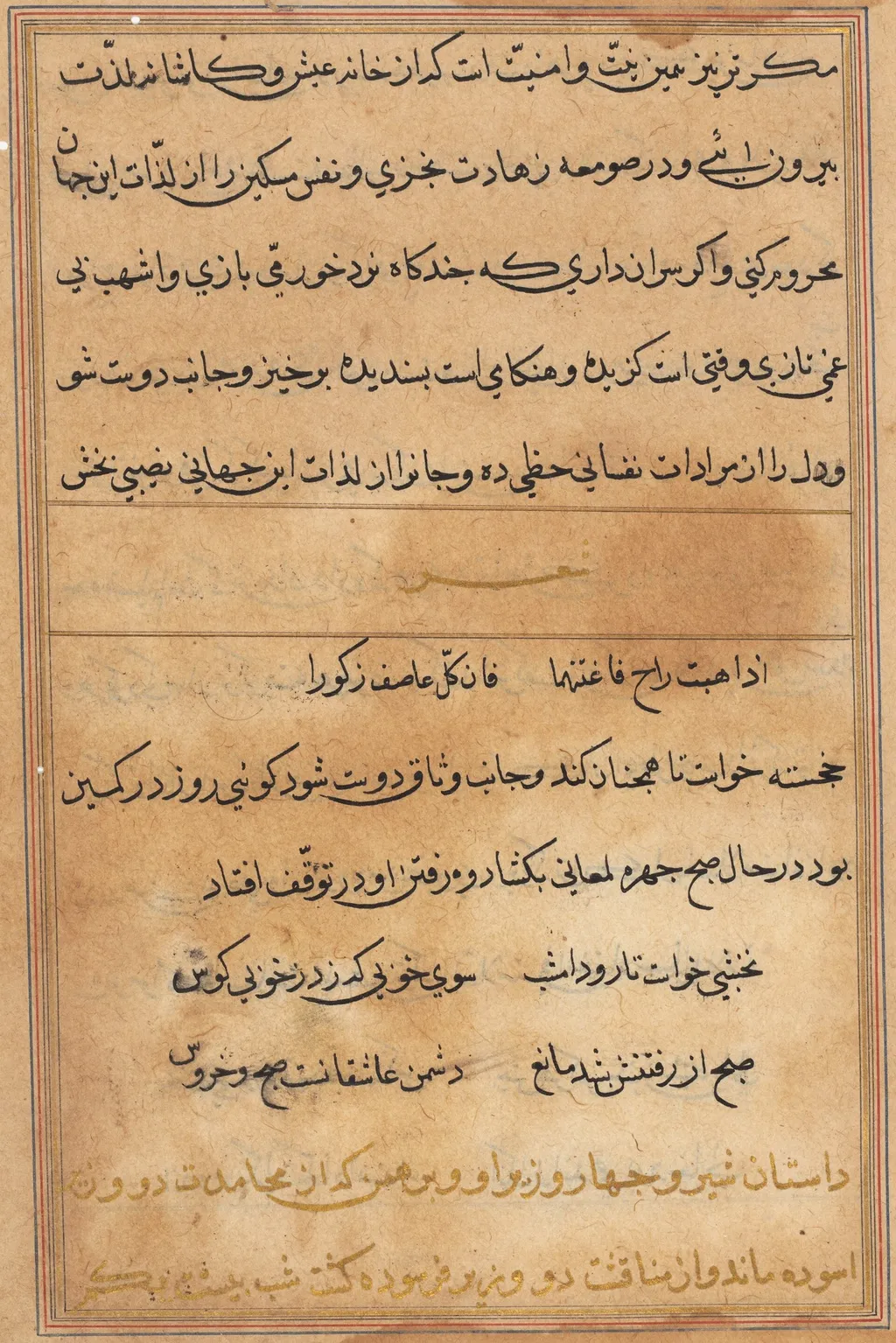 Page from Tales of a Parrot (Tuti-nama): text page, unspecified, 1560