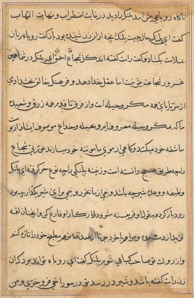 Page from Tales of a Parrot (Tuti-nama): text page