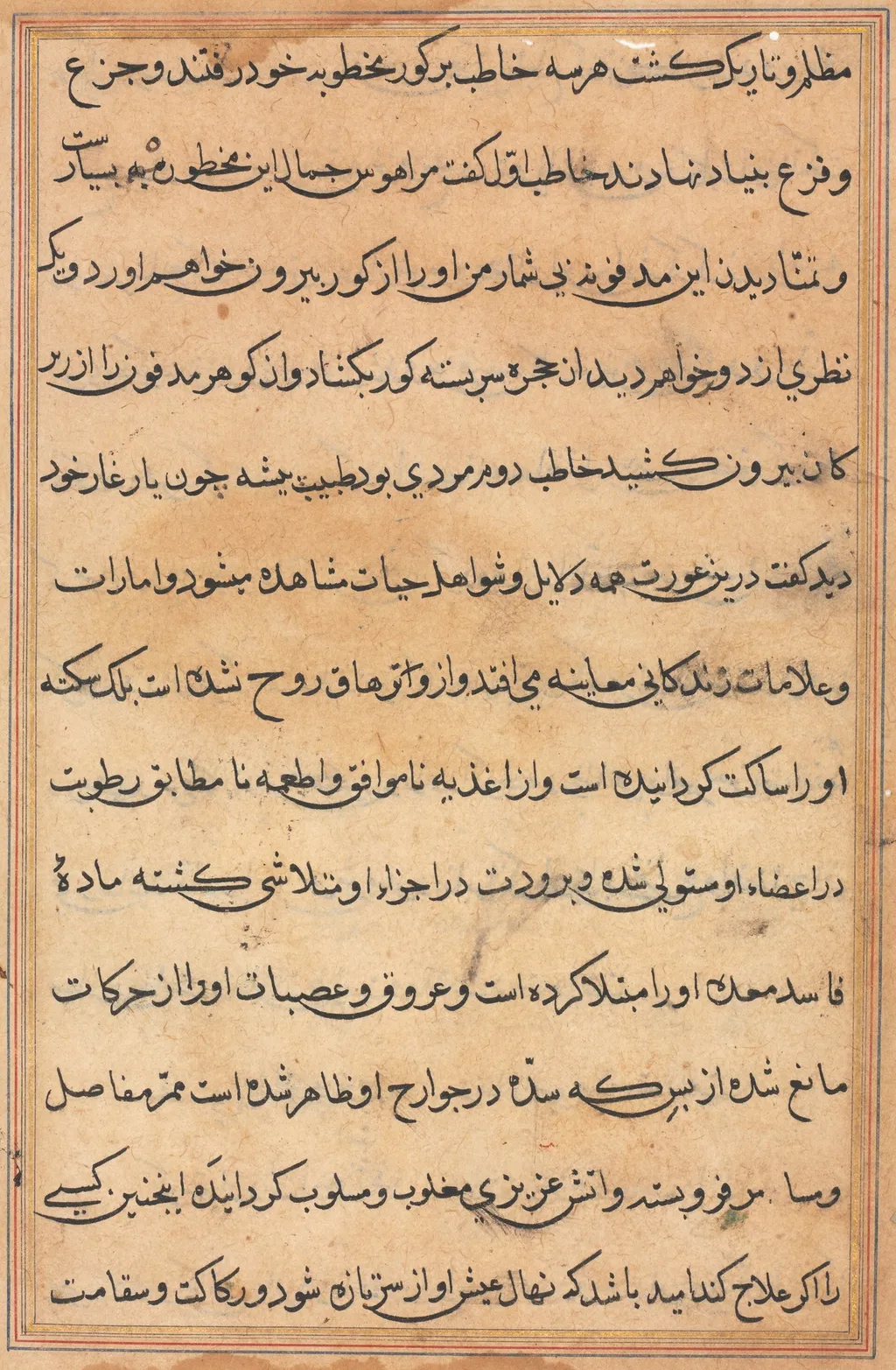 Page from Tales of a Parrot (Tuti-nama): text page, unspecified, 1560