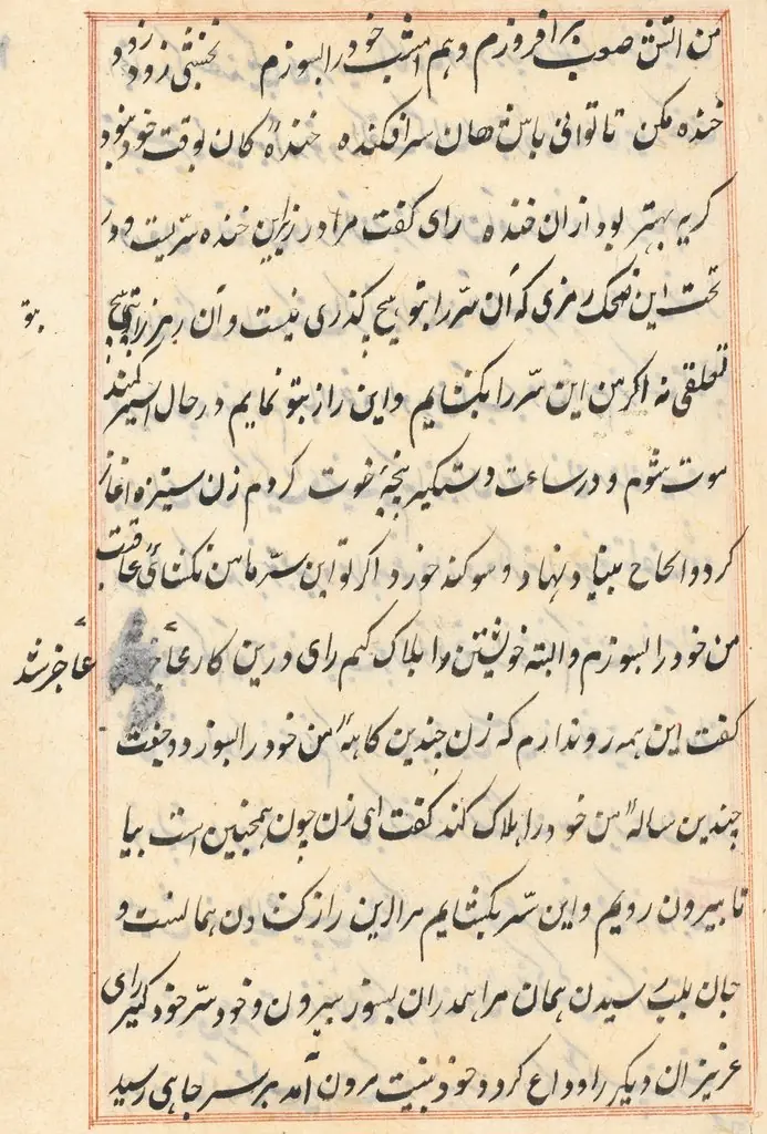 Page from Tales of a Parrot (Tuti-nama): text page