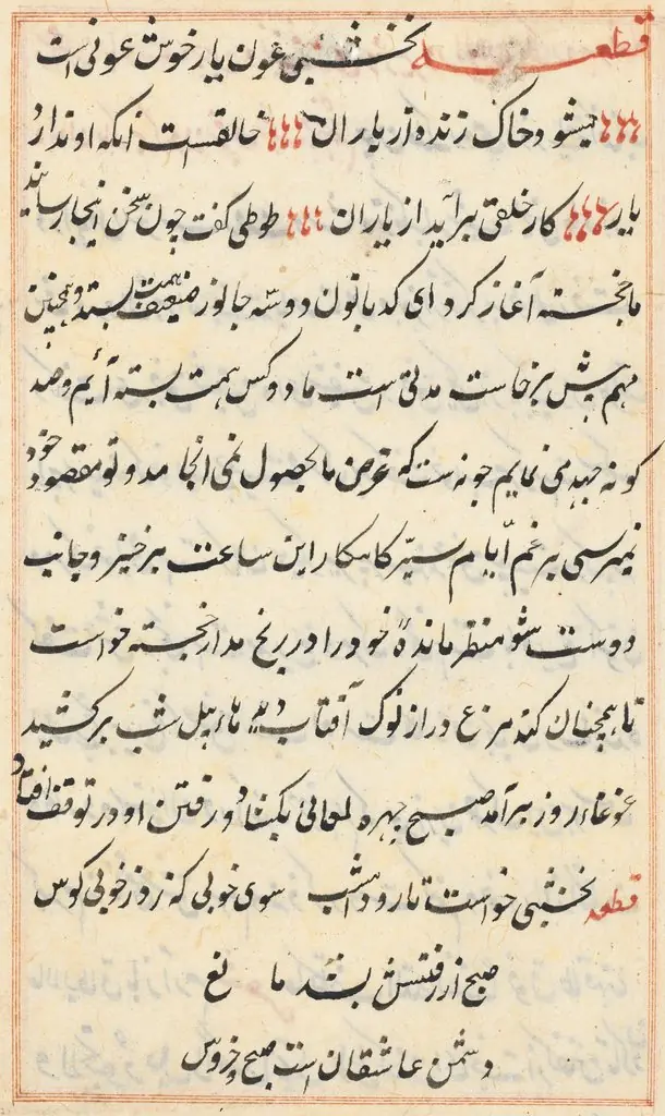 Page from Tales of a Parrot (Tuti-nama): text page