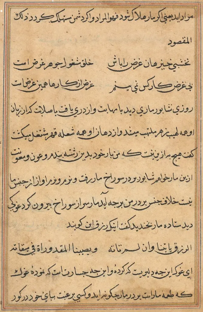 Page from Tales of a Parrot (Tuti-nama): text page
