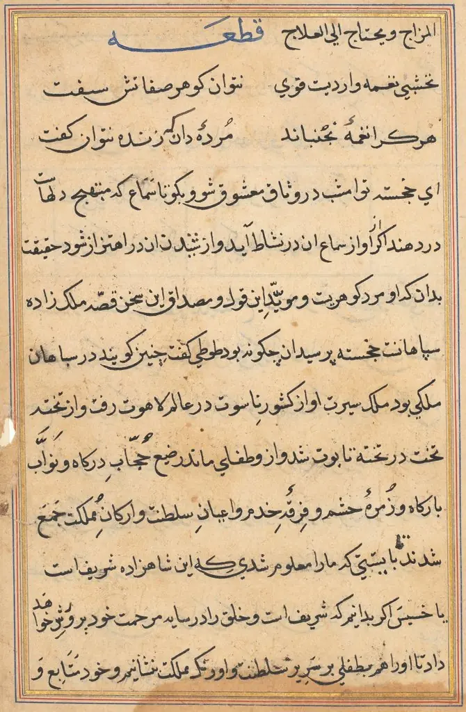 Page from Tales of a Parrot (Tuti-nama): text page