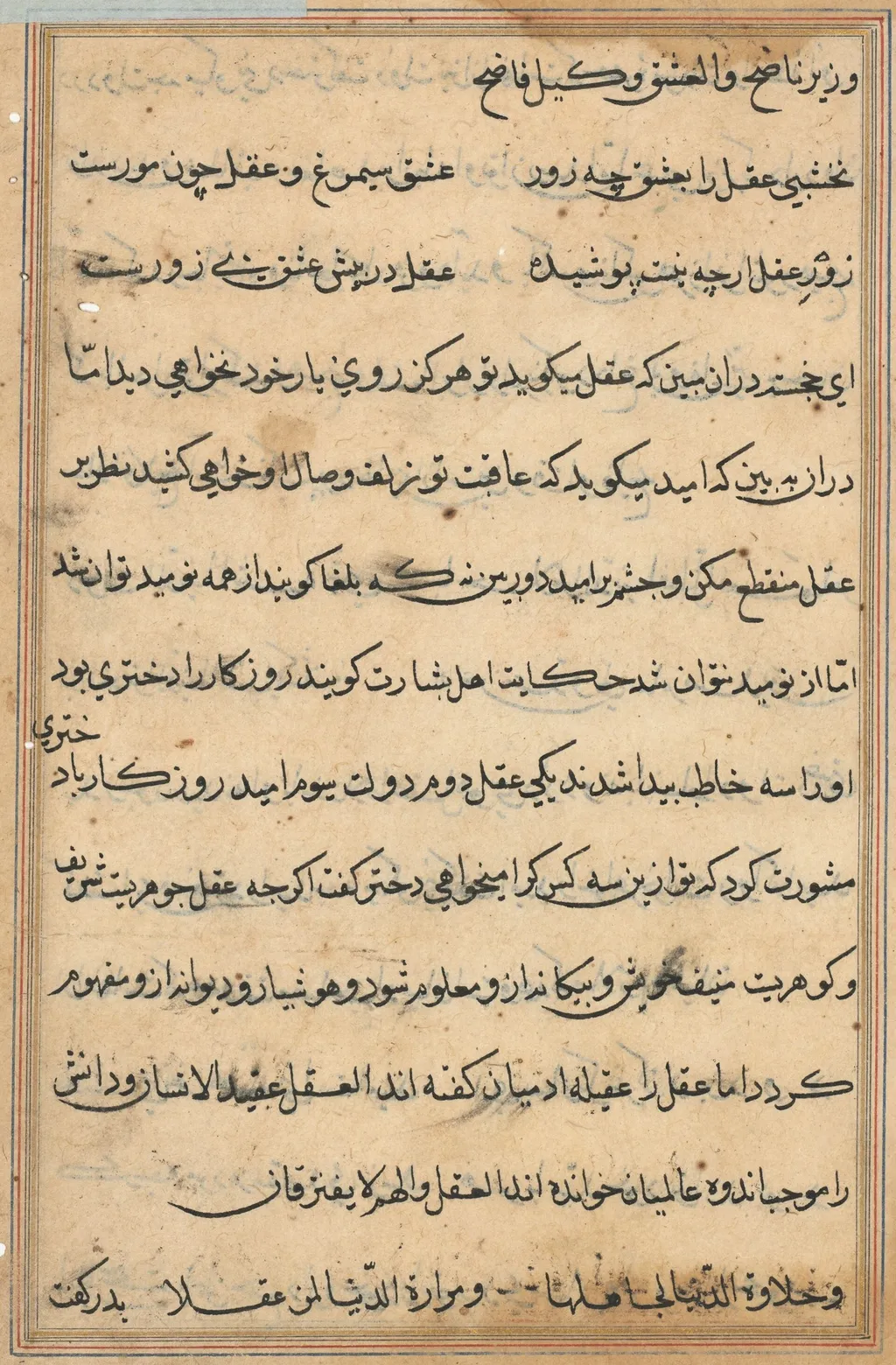 Page from Tales of a Parrot (Tuti-nama): text page, unspecified, 1560