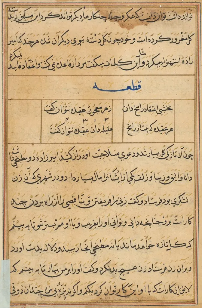 Page from Tales of a Parrot (Tuti-nama): text page