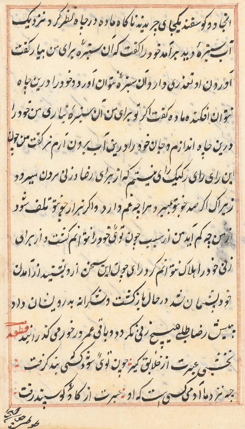 Page from Tales of a Parrot (Tuti-nama): text page, unspecified, 1560