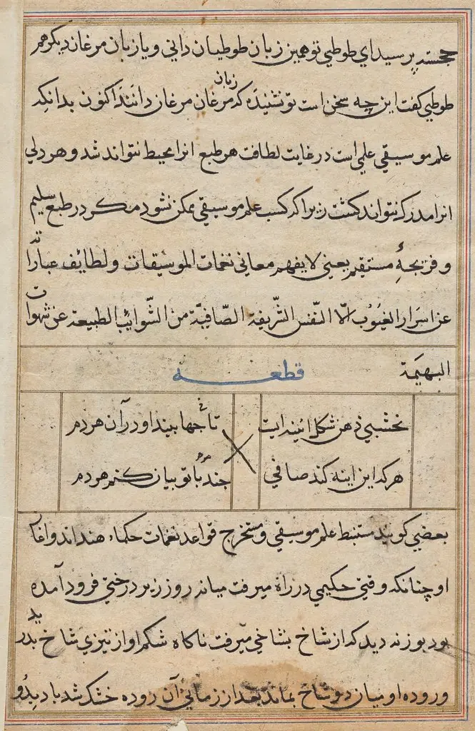 Page from Tales of a Parrot (Tuti-nama): text page, 1560