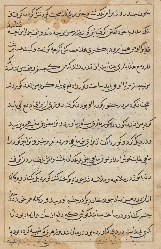 Page from Tales of a Parrot (Tuti-nama): text page, 1560