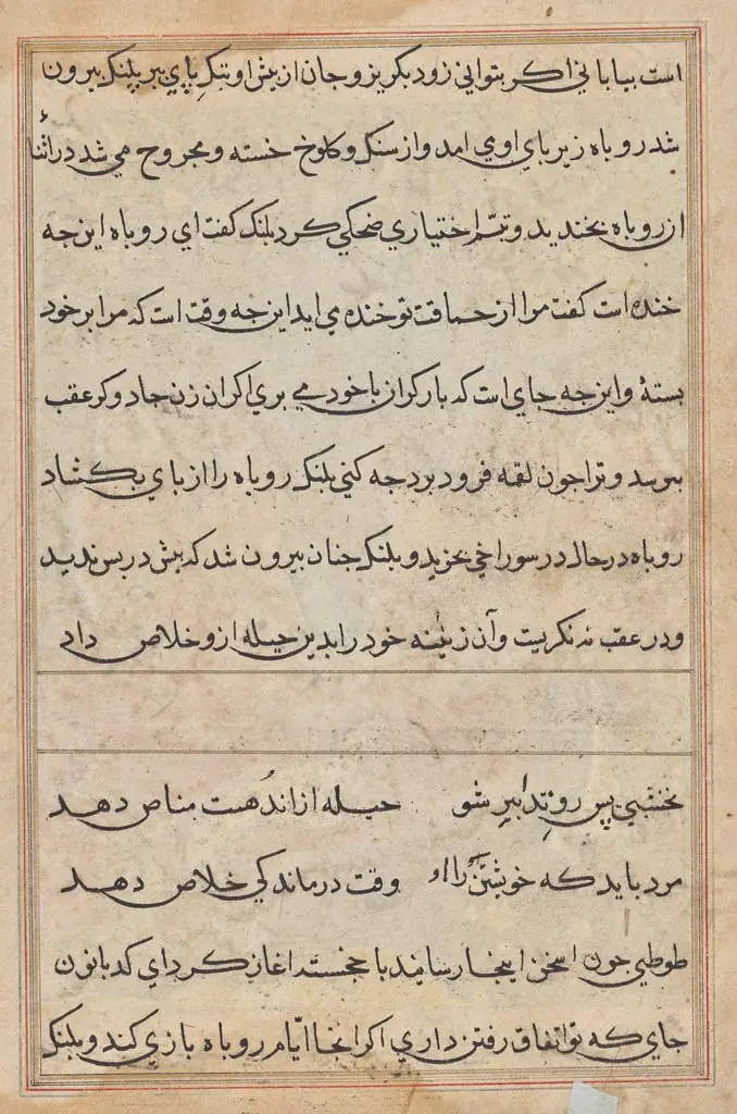 Page from Tales of a Parrot (Tuti-nama): text page, 1560