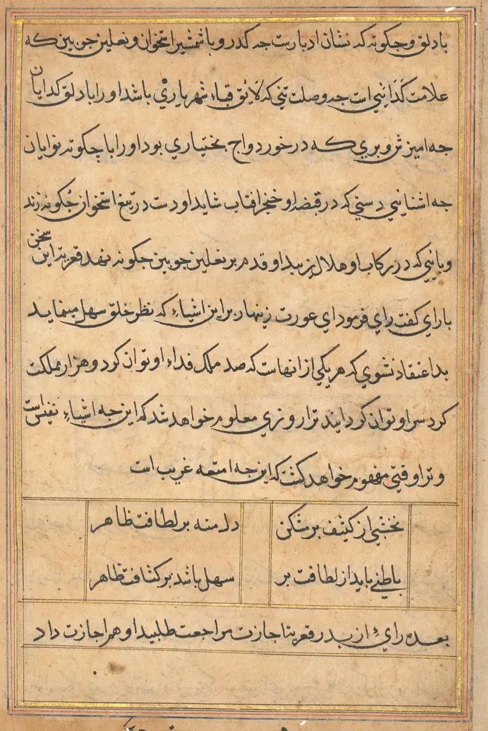 Page from Tales of a Parrot (Tuti-nama): text page