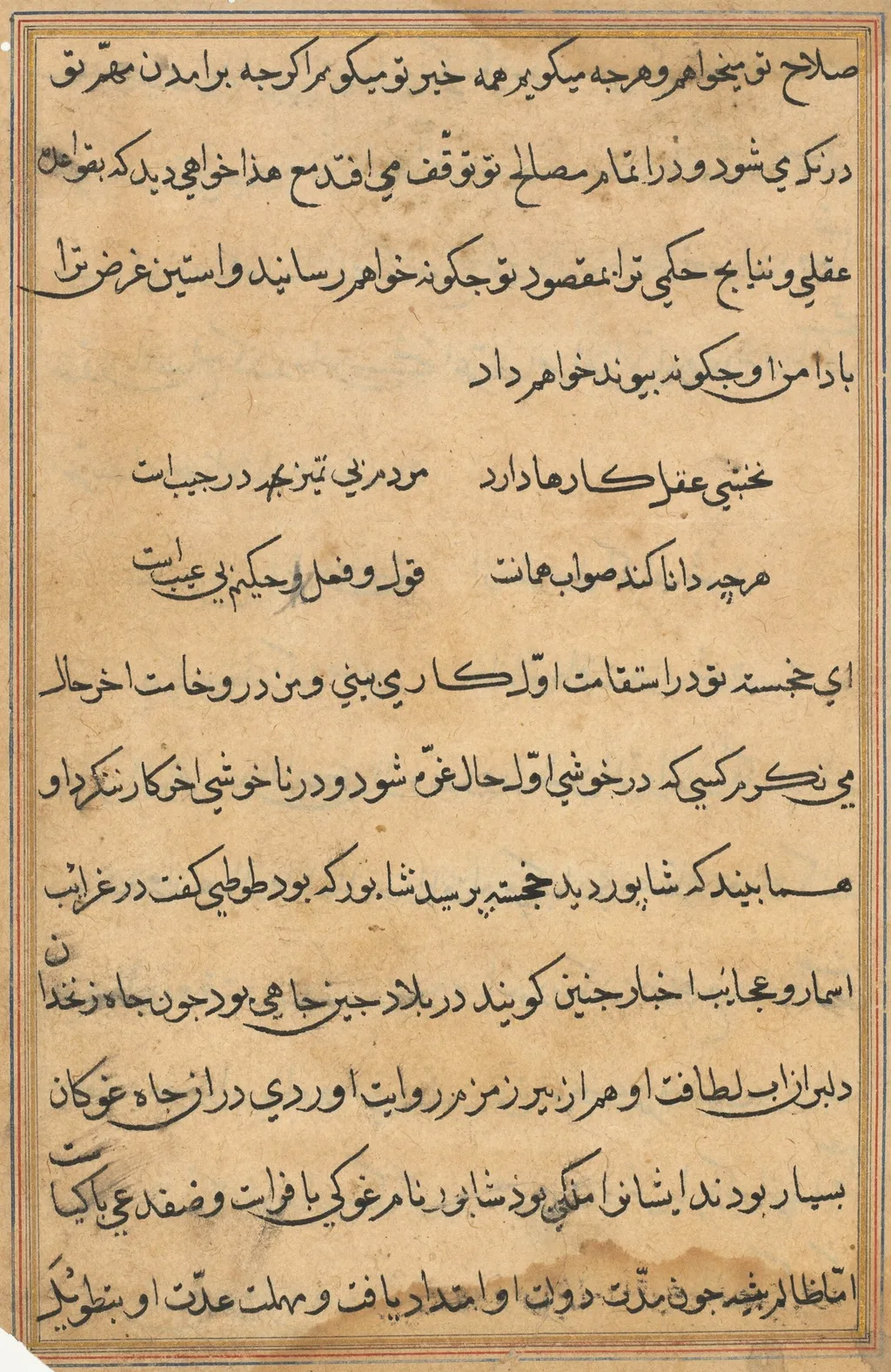Page from Tales of a Parrot (Tuti-nama): text page, unspecified, 1560