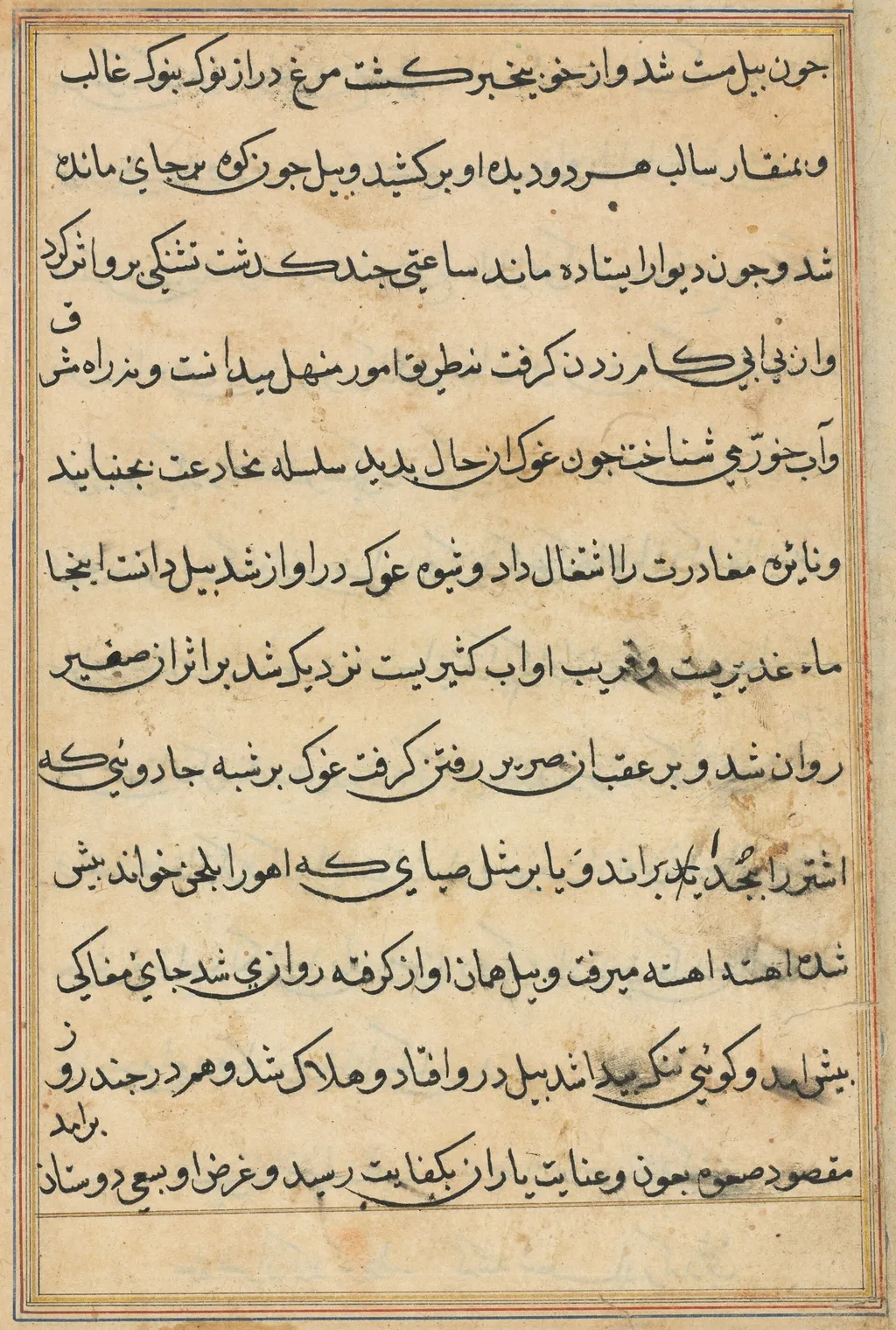 Page from Tales of a Parrot (Tuti-nama): text page, unspecified, 1560