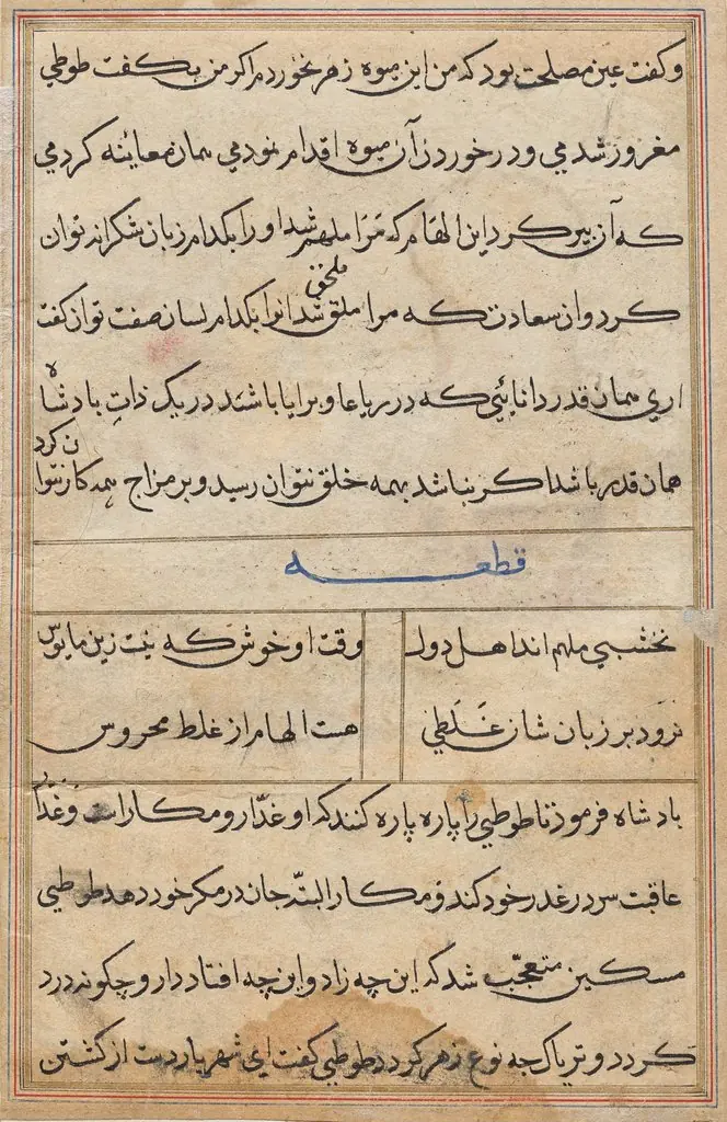 Page from Tales of a Parrot (Tuti-nama): text page