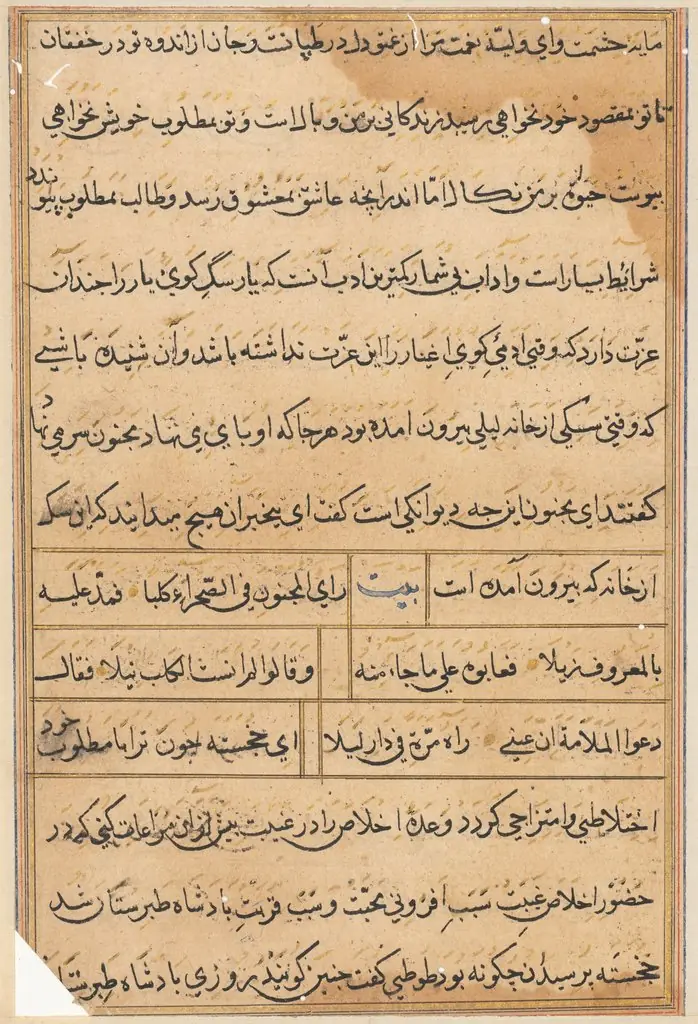 Page from Tales of a Parrot (Tuti-nama): text page