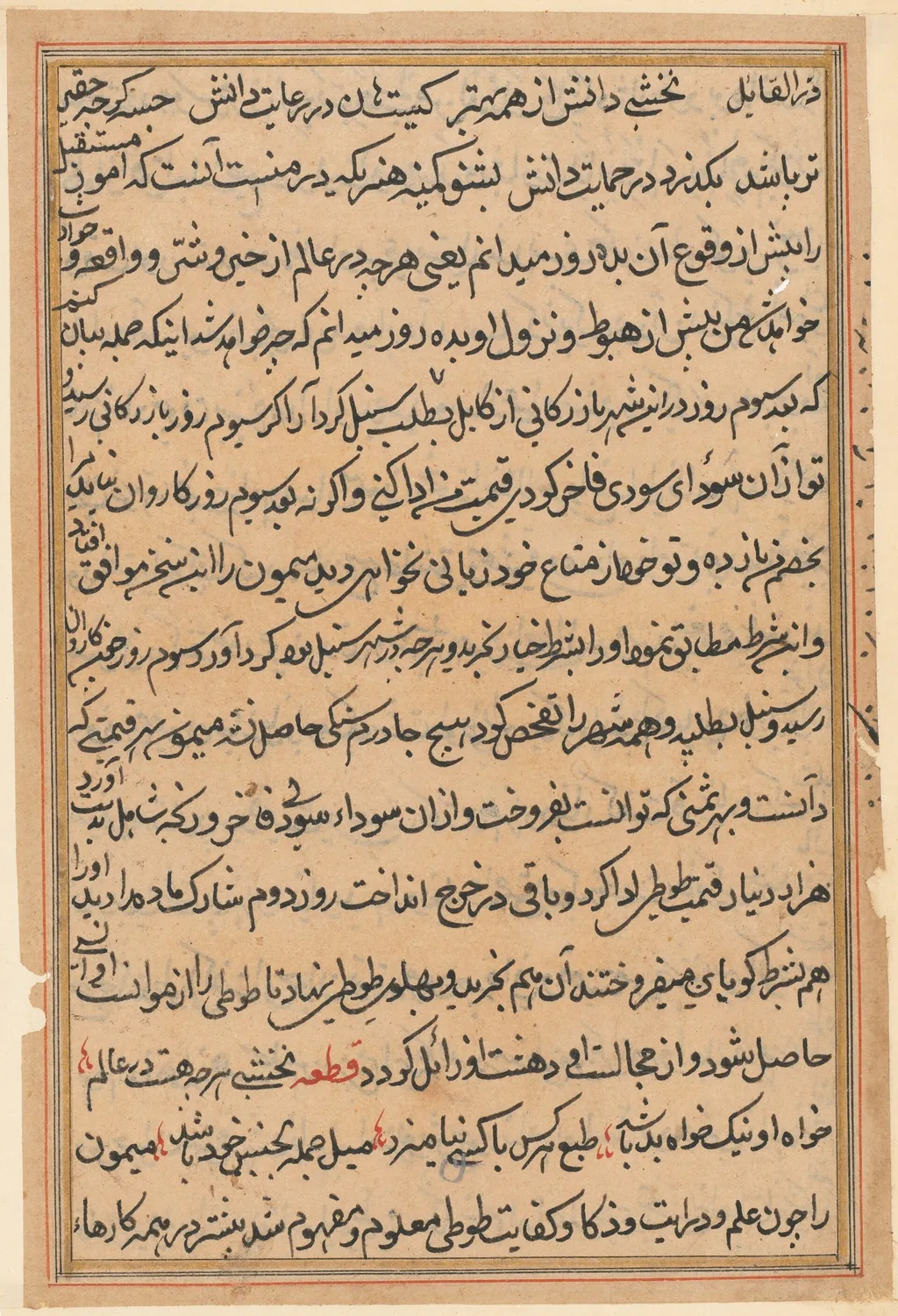 Page from Tales of a Parrot (Tuti-nama): text page, unspecified, 1560