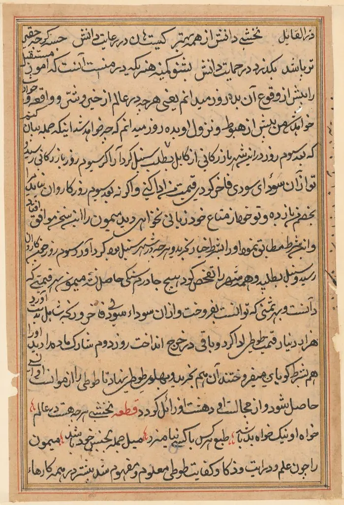 Page from Tales of a Parrot (Tuti-nama): text page