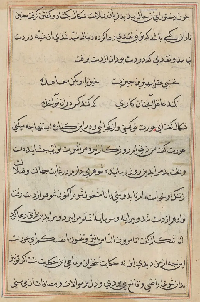 Page from Tales of a Parrot (Tuti-nama): text page