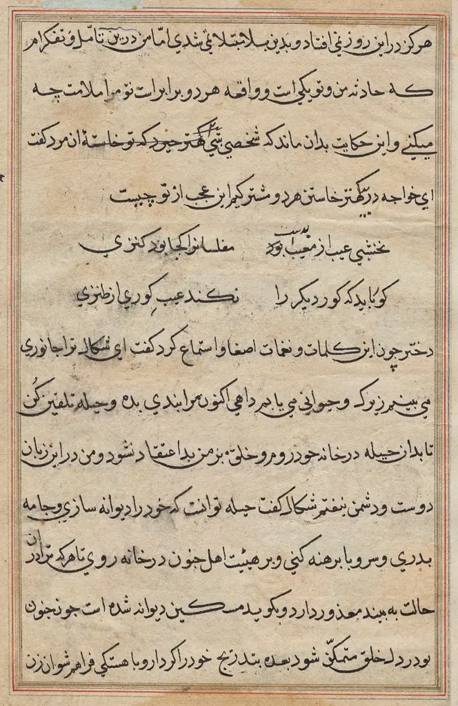 Page from Tales of a Parrot (Tuti-nama): text page, 1560
