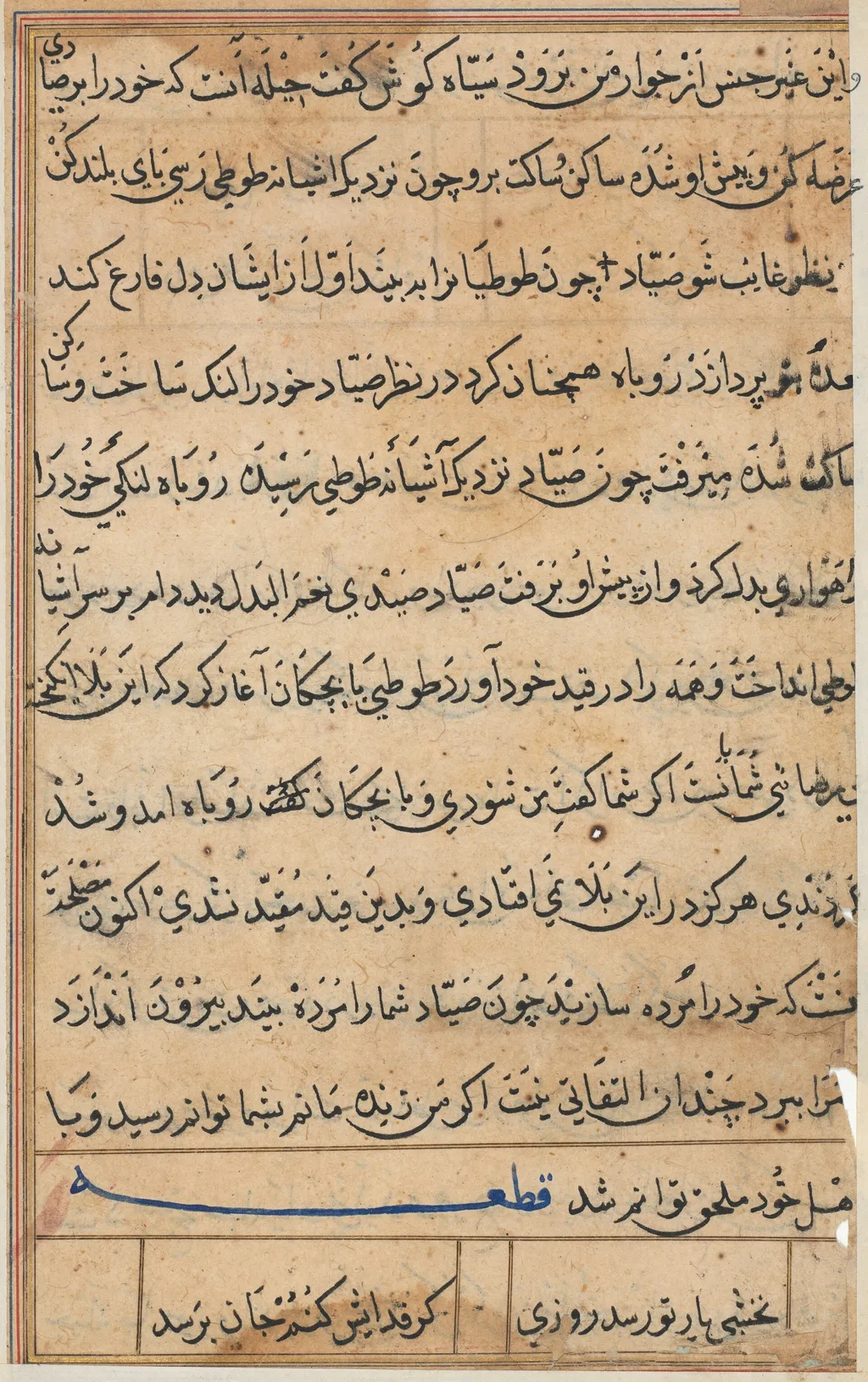 Page from Tales of a Parrot (Tuti-nama): text page, unspecified, 1560