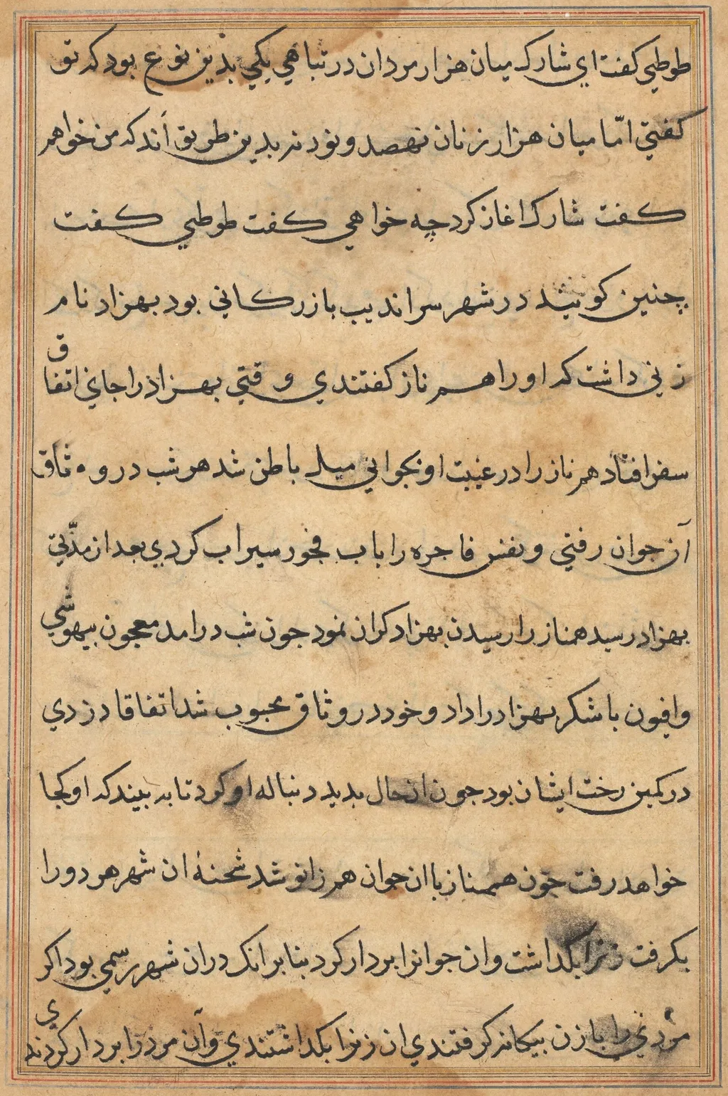 Page from Tales of a Parrot (Tuti-nama): text page, unspecified, 1560