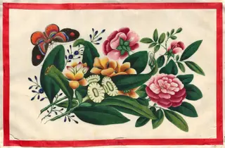 Painting Eight from Illustrated Book of Flowers and Butterflies