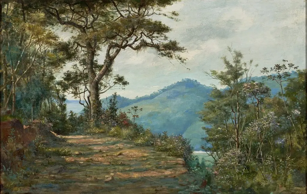 Paisagem (Da Série Mata)