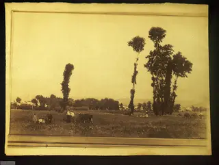 [Paisaje rural], 1850