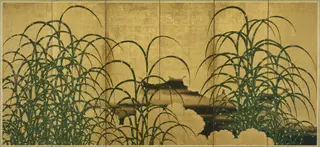 Pampas Grass