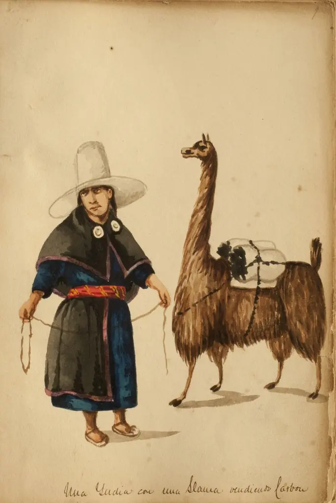 An Indian with a llama selling coal, by Pancho Fierro
