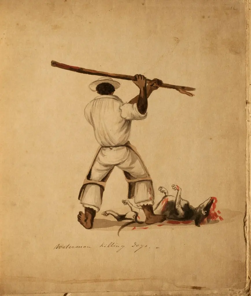 Waterman killing dogs, by Pancho Fierro