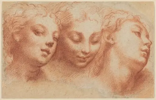Three Feminine Heads, by Parmigianino