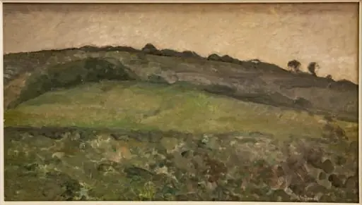Amurg, by Paștină Horea