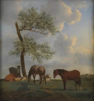 Pasture with Horses and Cattle