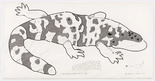 Untitled, by Patricia Johanson