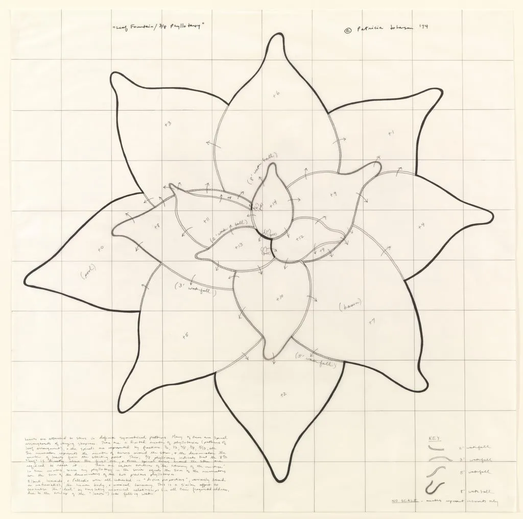 Untitled, by Patricia Johanson, charcoal, 1974