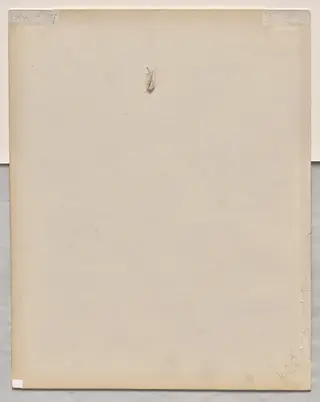 Face in Profile (verso), by Paul Baudry