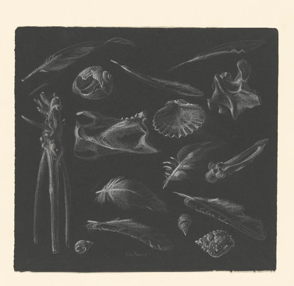 Untitled, by Paul Cadmus, crayon, 1946