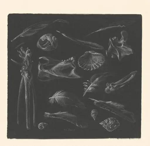 Untitled, by Paul Cadmus