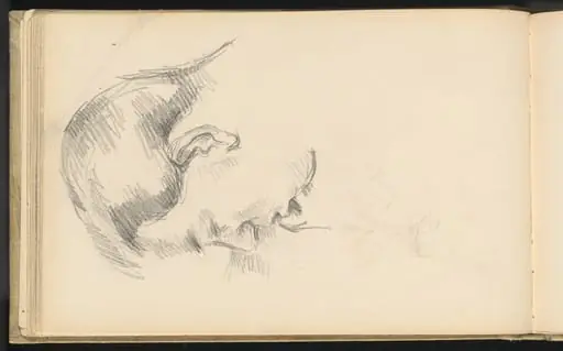 Head of the Artist's Son, by Paul Cezanne