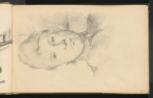 Madame Cezanne, by Paul Cezanne