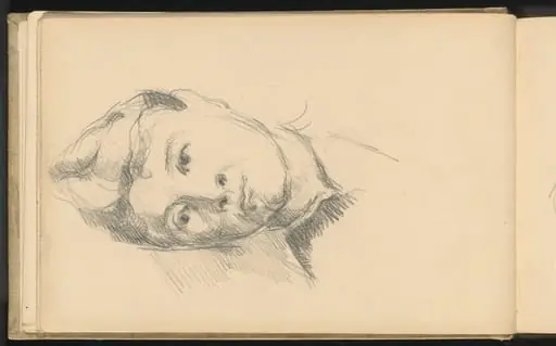 Madame Cezanne, by Paul Cezanne