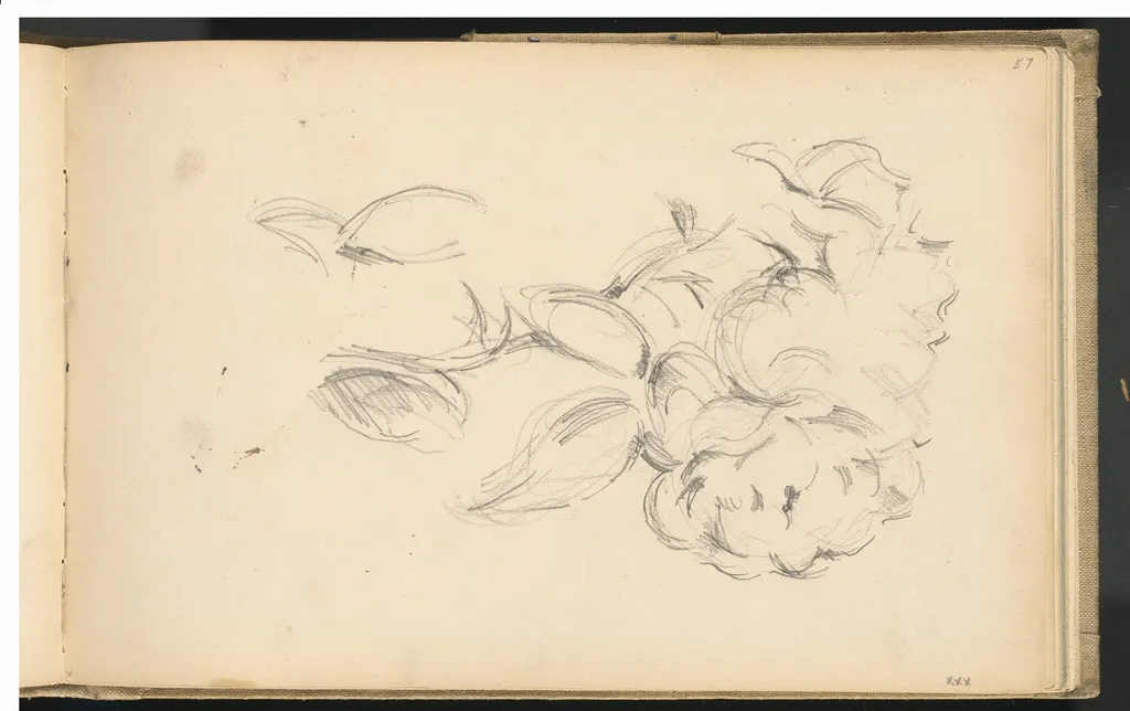Peonies, by Paul Cezanne, graphite, 1892