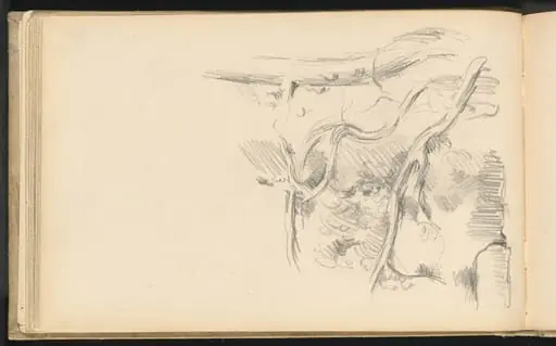Pine Tree, by Paul Cezanne